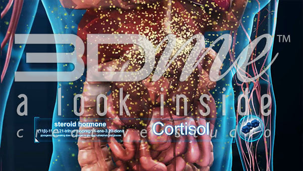 How does stress effect blood glucose levels?