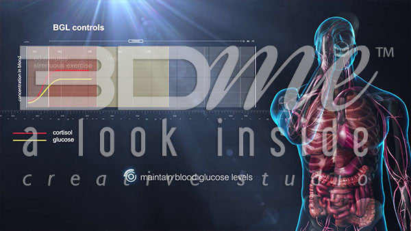 How does the body regulate blood glucose levels?