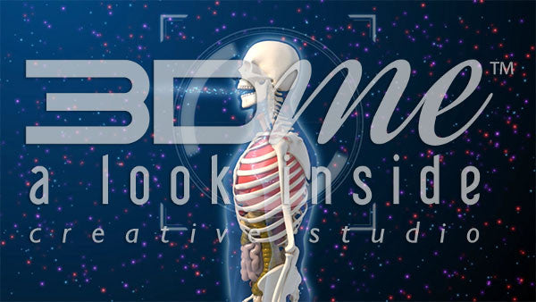 Transparent Male Air Intake