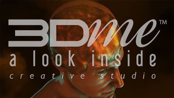 Human Brain Activity 2