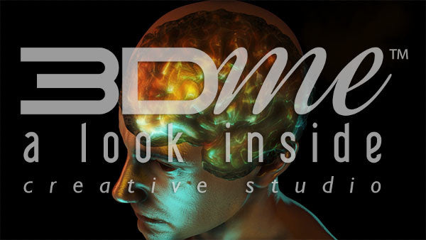 Human Brain Activity