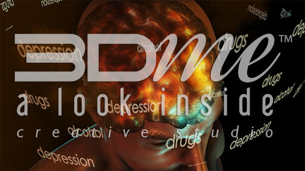 Human Brain Activity (with text)