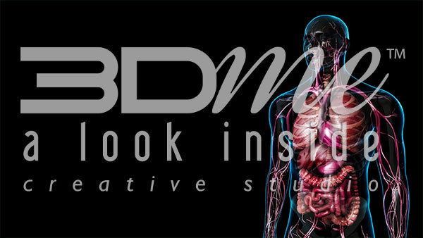 Male Upper Body Standing