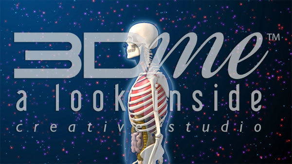 Transparent Male Sideview