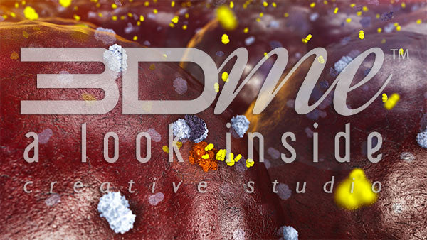 Insulin Receptors 13