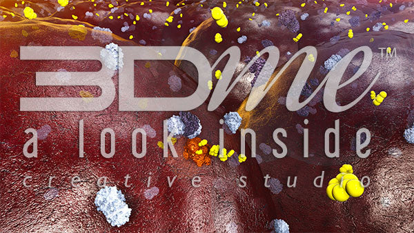 Insulin Receptors 14