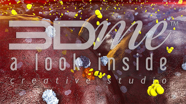 Insulin Receptors 12