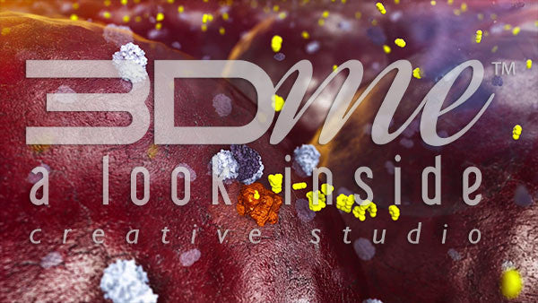 Insulin Receptor (without legend)