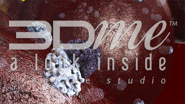 Insulin Receptor and glucose 2