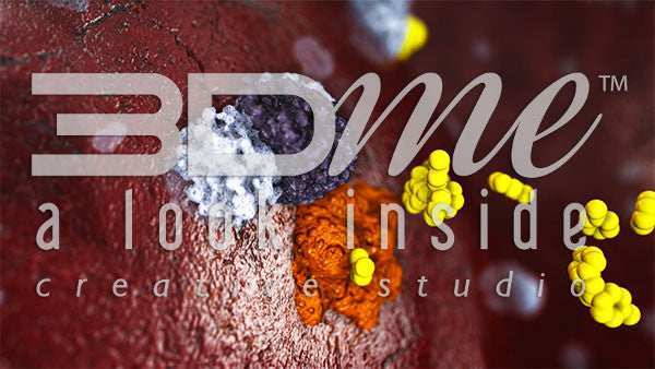 Insulin Receptor and Glucose (without legend)