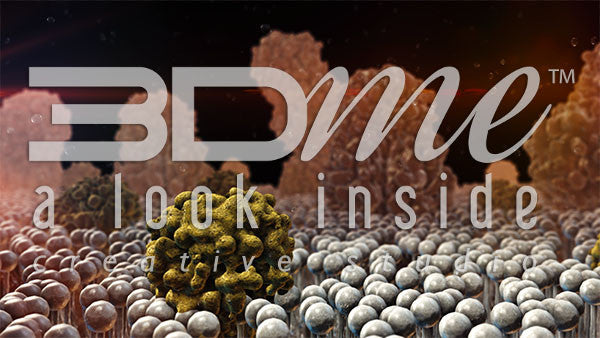 Insulin Resistance 2 DOF