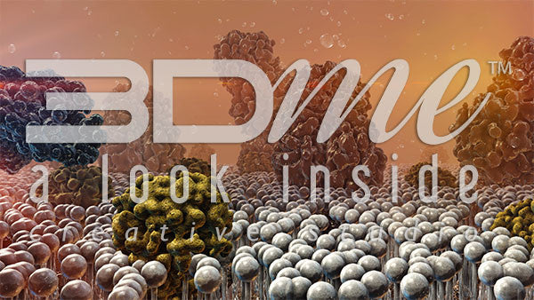 Insulin Resistance 3