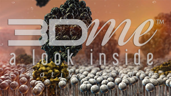 Insulin Resistance 4 DOF