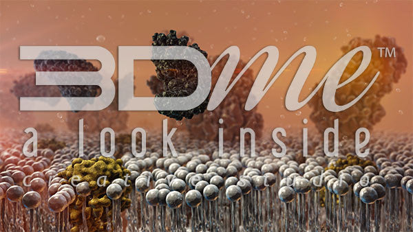 Insulin Resistance 5 DOF