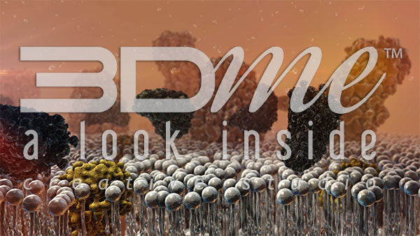 Insulin Resistance 6 DOF