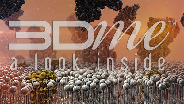 Insulin Resistance 7 DOF