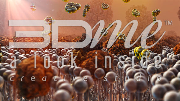 Insulin Resistance 8 DOF