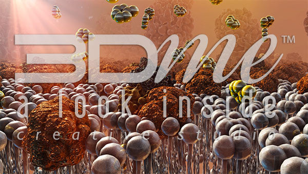 Insulin Resistance 8 (with lighting)