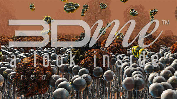 Insulin Resistance 8