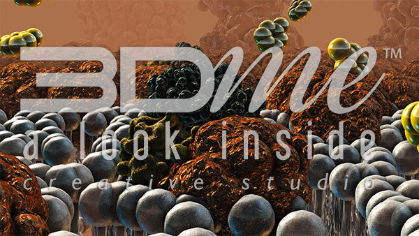 Insulin Resistance 9