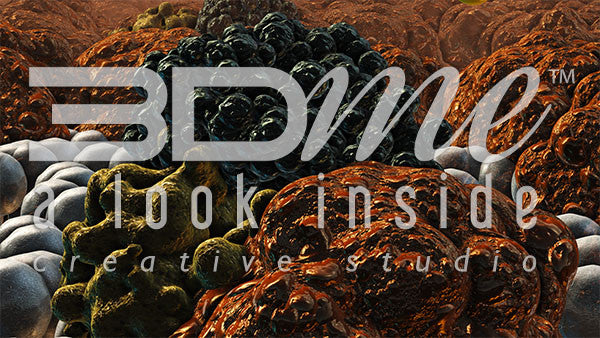 Insulin Resistance 10