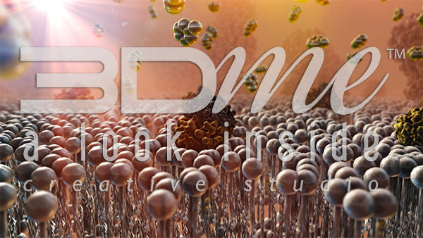 Insulin Resistance 12 (with lighting)