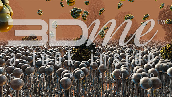 Insulin Resistance 12