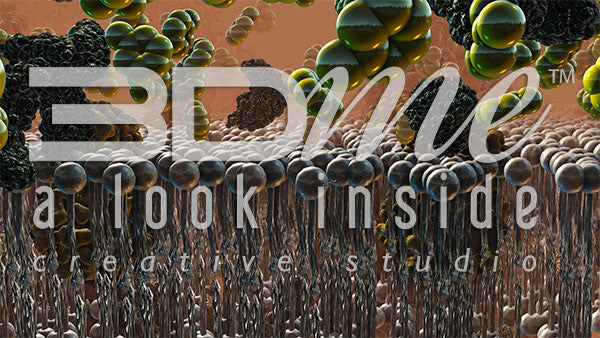 Insulin Resistance 15