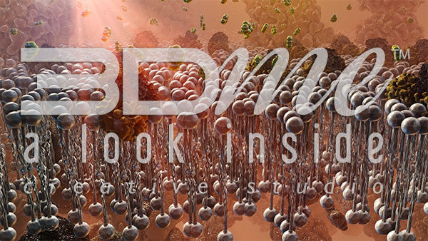 Insulin Resistance 13