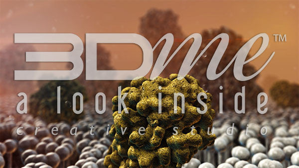 Insulin Resistance DOF