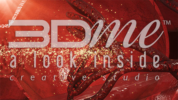 Kidneys: Glomeruli 2