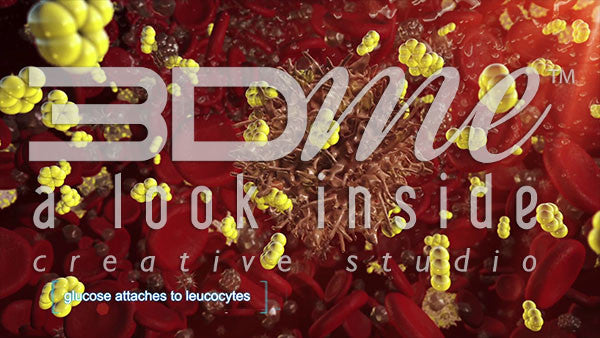 Leucocytes and Glycosylation