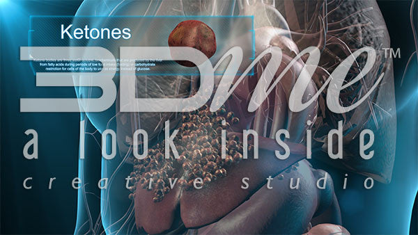Liver: Ketones 3