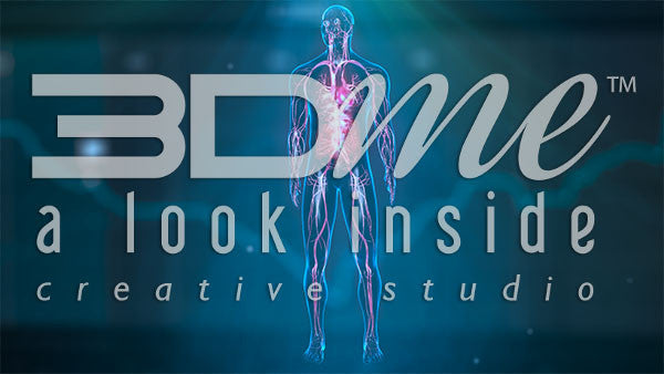 Male Anterior Circulatory Highlight