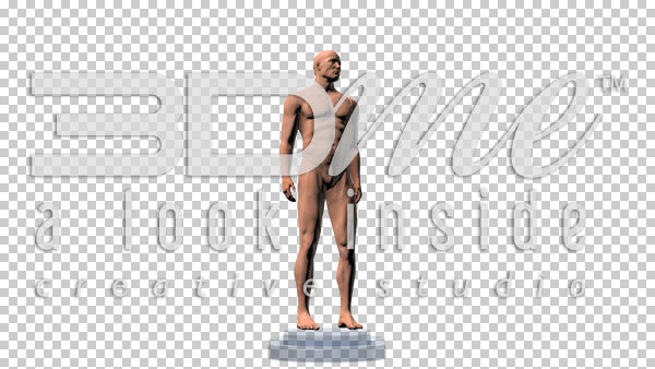 Male Skin Anterior View