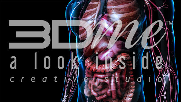 Male Upper Body Close Up 2