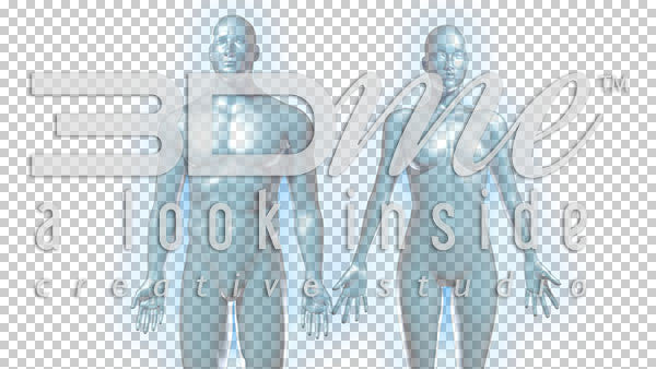 Male Female Liquid Bodies 1