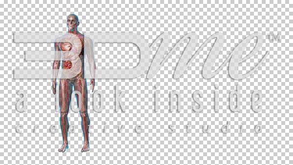 Male Front with graphics 2