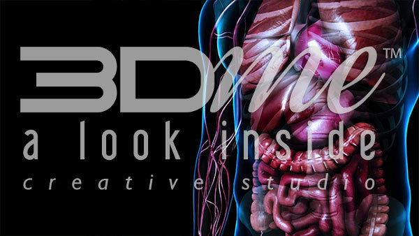 Male Abdominal (right aligned)