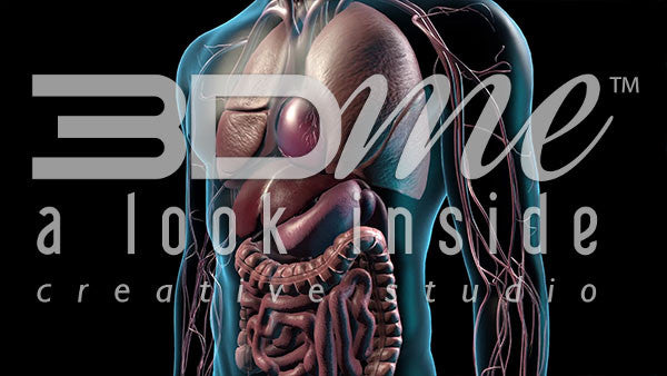 Male Whole Body Zoom In 2