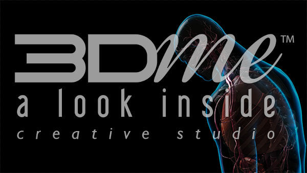 Male Posterior Bow 2