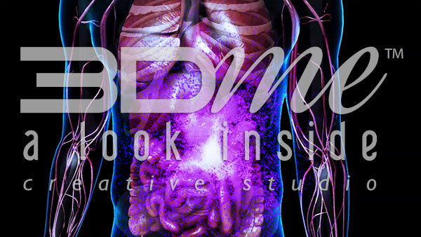 Male Abdominal (short)