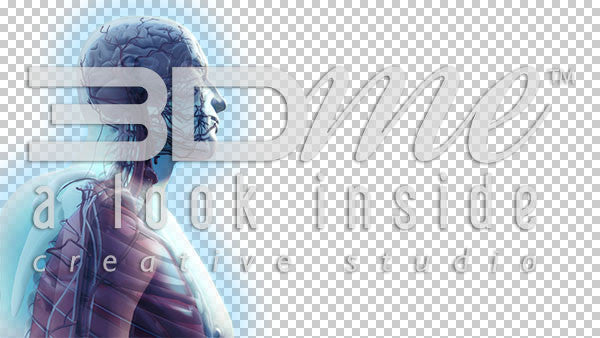 Male Trans Rotate Upper Body