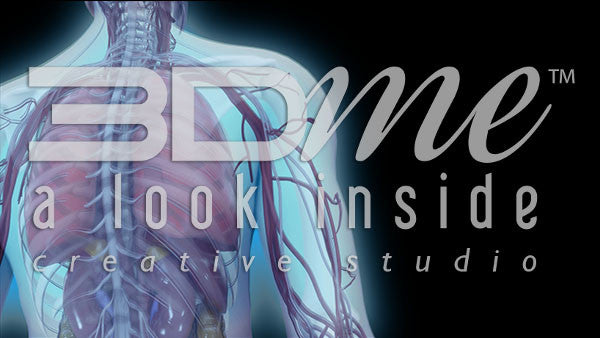 Male Trans Rotate Upper Body