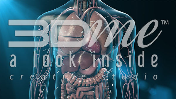 Male Upper Body (with fatty acids)