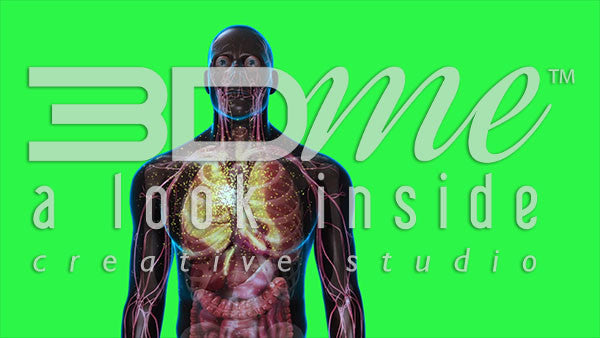 Male Rotating to Anterior 2 (greenscreen)