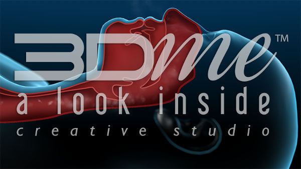 Cross section: esophagus 3