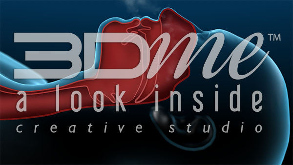 Cross section: esophagus 6