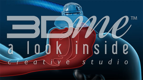 Cross section: esophagus 8