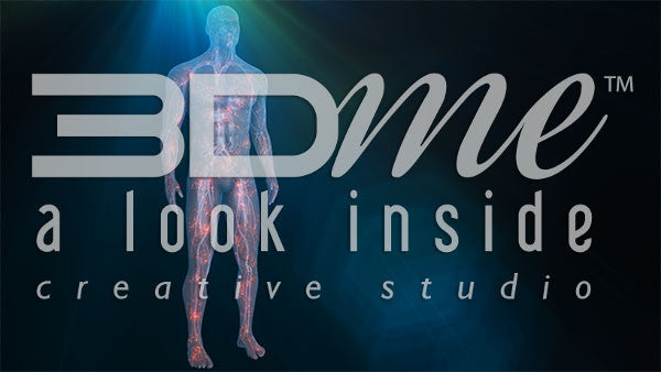 Nerve Activity Body 2